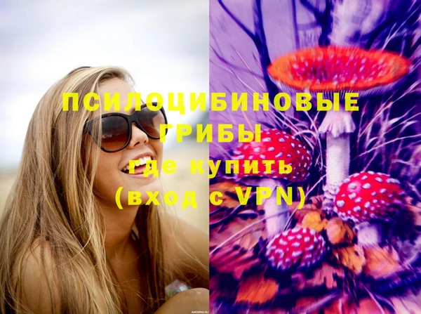 ГАЛЛЮЦИНОГЕННЫЕ ГРИБЫ Алексеевка
