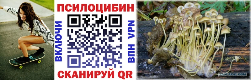 Галлюциногенные грибы прущие грибы  Мураши 