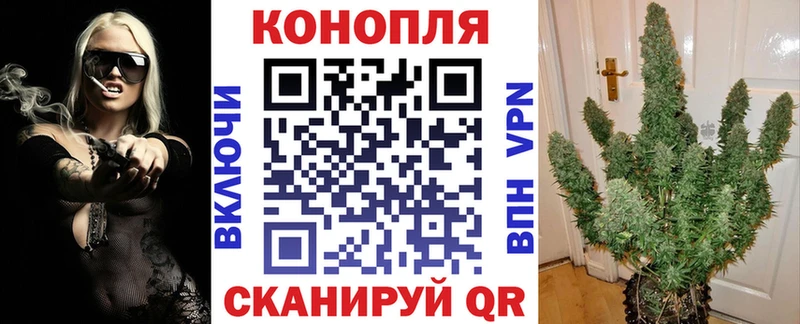omg   Мураши  Канабис план 